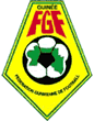 Amical: La Guinée battue