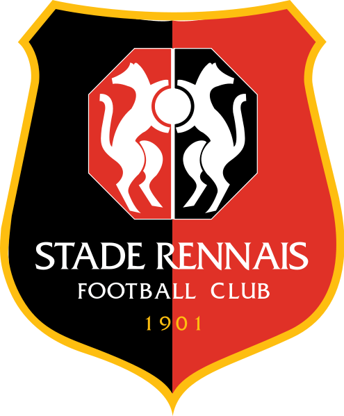 Rennes: Opération pour Mangane?