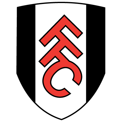 Fulham : Taarabt déjà sur le départ ?