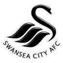 Swansea : Deux buts et une défaite pour Bony