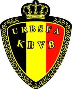 Belgique-Wilmots : “On n’a rien laissé aux Ivoiriens”