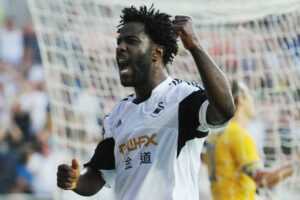 Swansea : Wilfried Bony, l’année de la confirmation