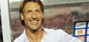 Afrique du Sud : Renard drague les Bafana Bafana