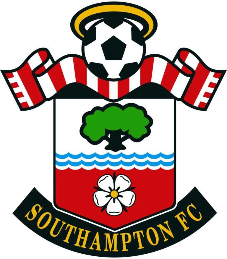 Southampton : Wanyama absent plusieurs semaines