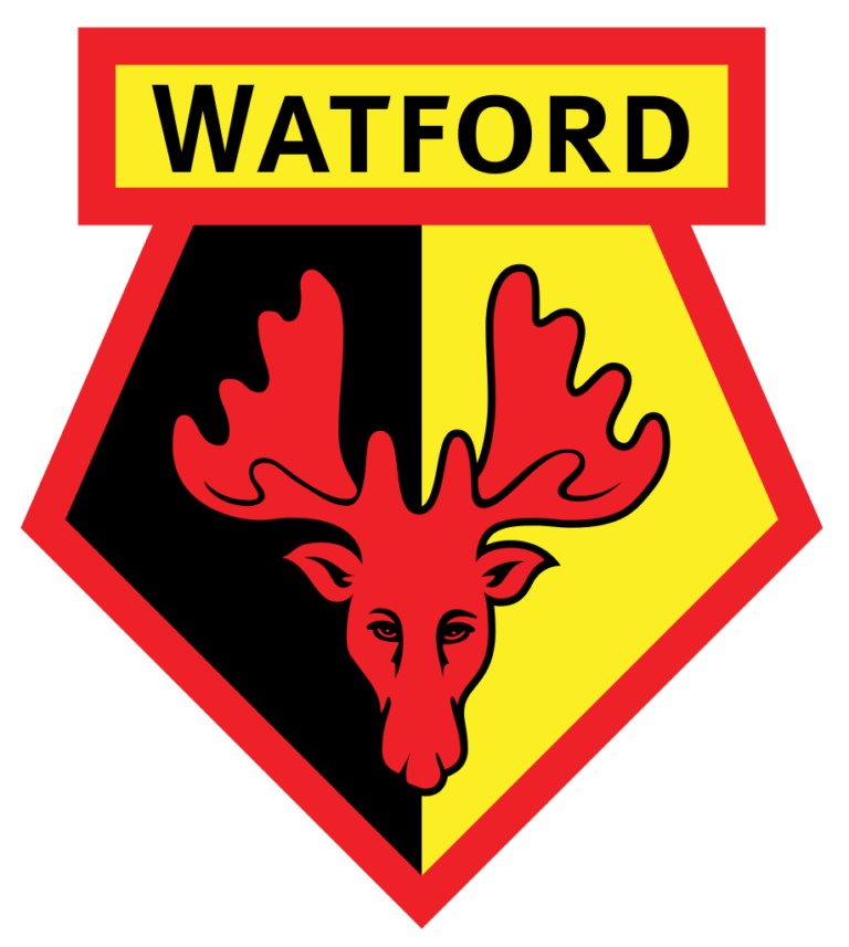 Watford : Brice Dja Djédjé vers un retour en France ?