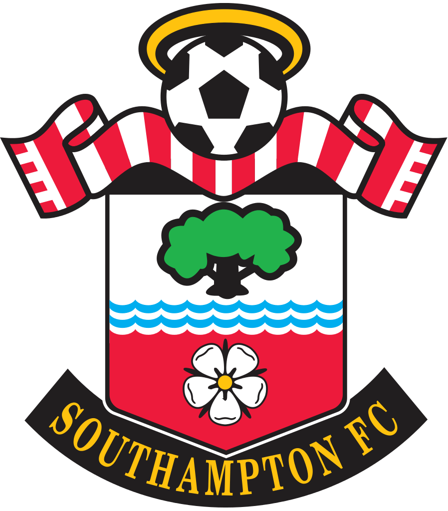 Southampton : France ou Tunisie, les précisions de Giresse sur le dossier Yan Valéry