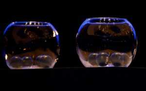 Mondial 2022 – Eliminatoires Zone Afrique : suivez le tirage au sort en direct !