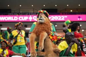 CAN 2023 : le surnom des 24 équipes