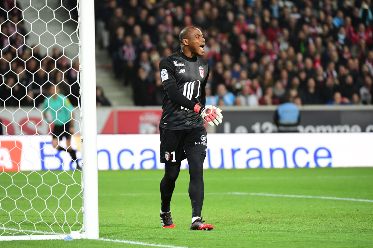 Enyeama: Super Eagles legend celebrates goalkeeping dynasty as son appears in Lille colours
