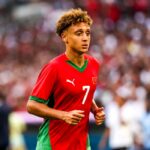 Pronostic Suède – Algérie : 2 cotes à plus de 1.95 à tenter sur le match amical des Fennecs