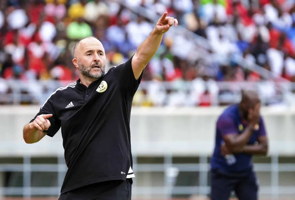 Djamel Belmadi, AFCON 2023