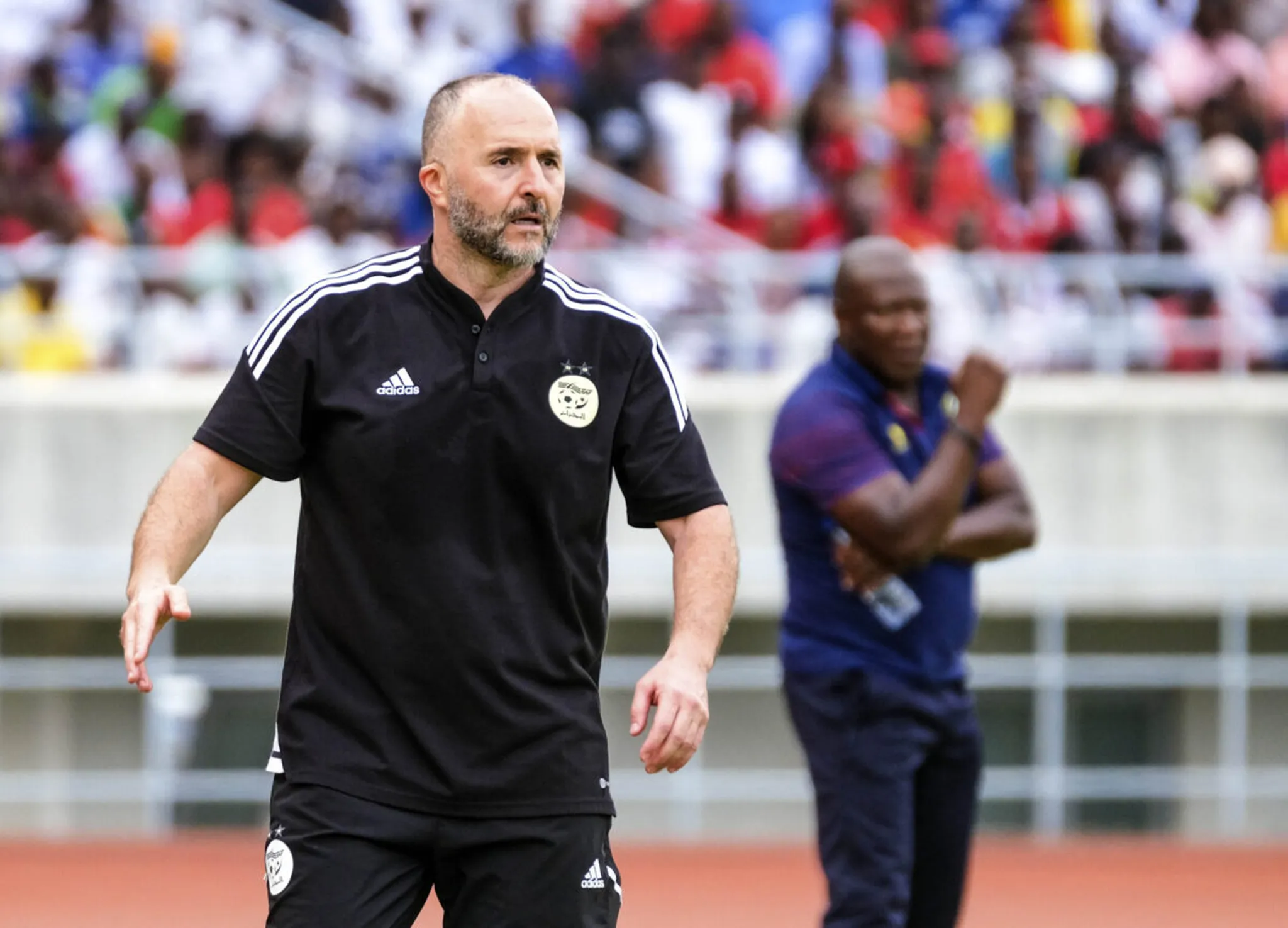 AFCON 2023: Algeria coach makes decision on veteran goalkeeper