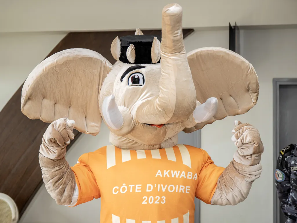 AFCON 2023 mascot Akwaba
