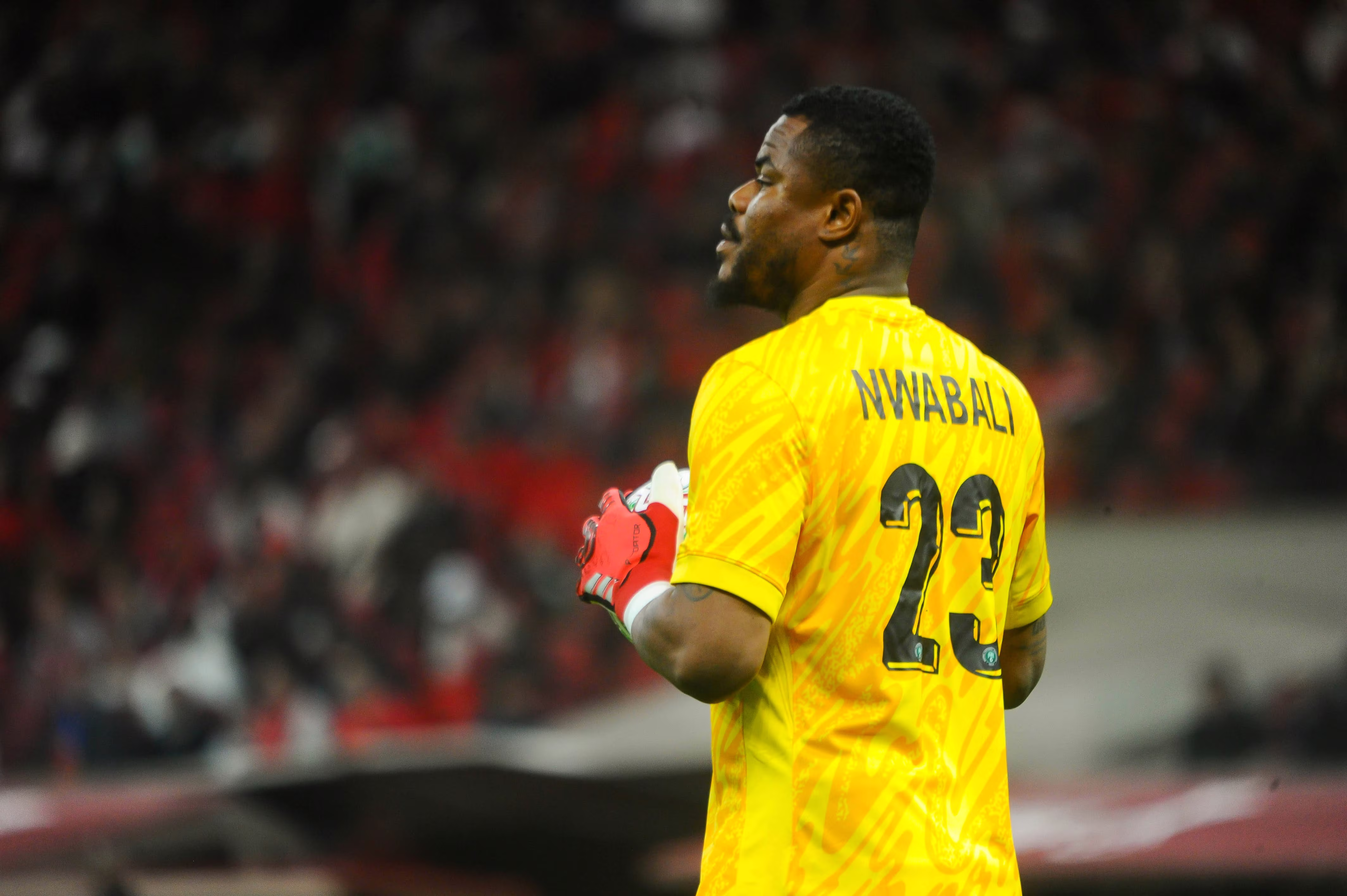 Super Eagles goalkeeper Stanley Nwabali