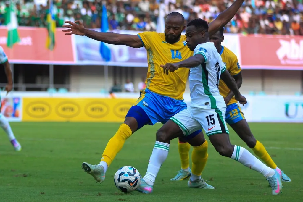 Next Super Eagles opponent: Date & time of the next Nigeria match