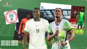 Afrik-Foot : Nigeria Football News
