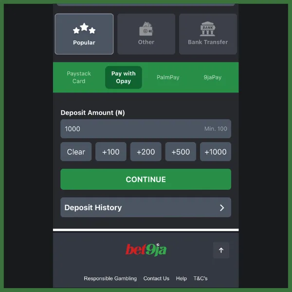 Bet9ja deposit page showing Paystack, Opay, PalmPay, and 9jaPay payment options, along with a &ldquo;CONTINUE&rdquo; button and a Deposit History link.