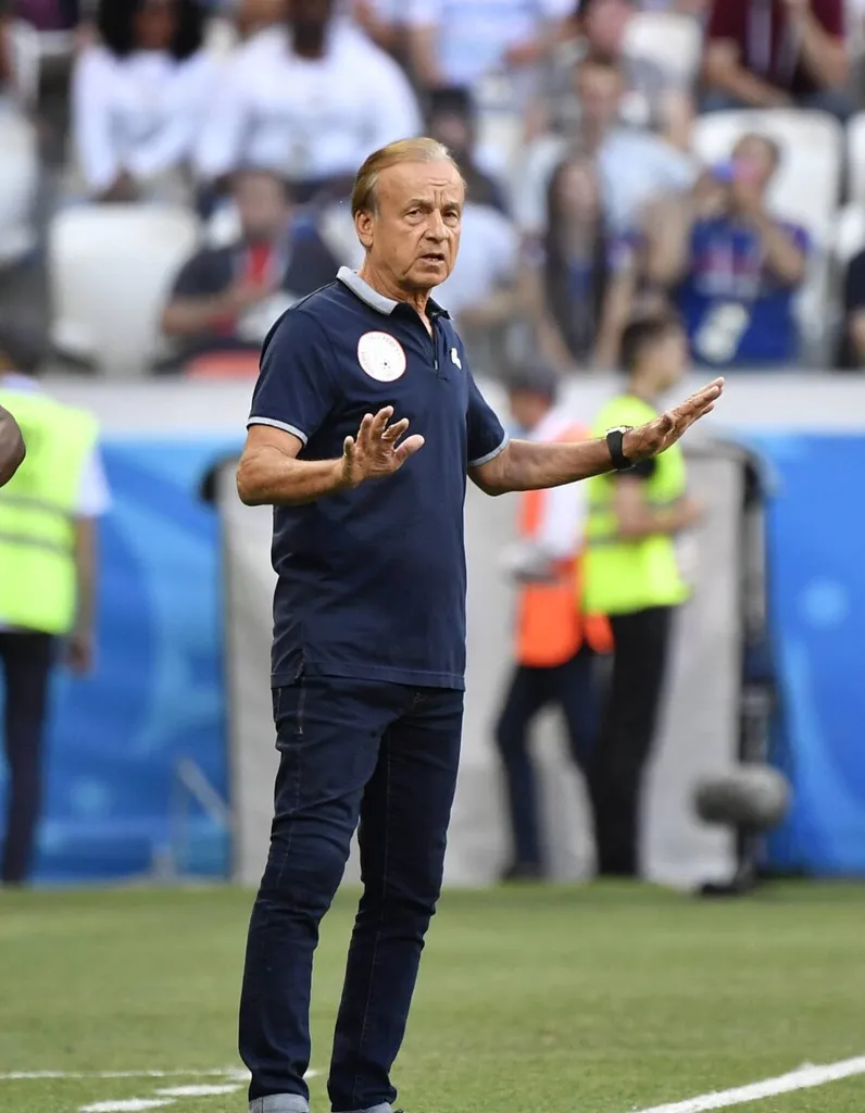 Bruno Labbadia: Gernot Rohr excited to face new Super Eagles coach