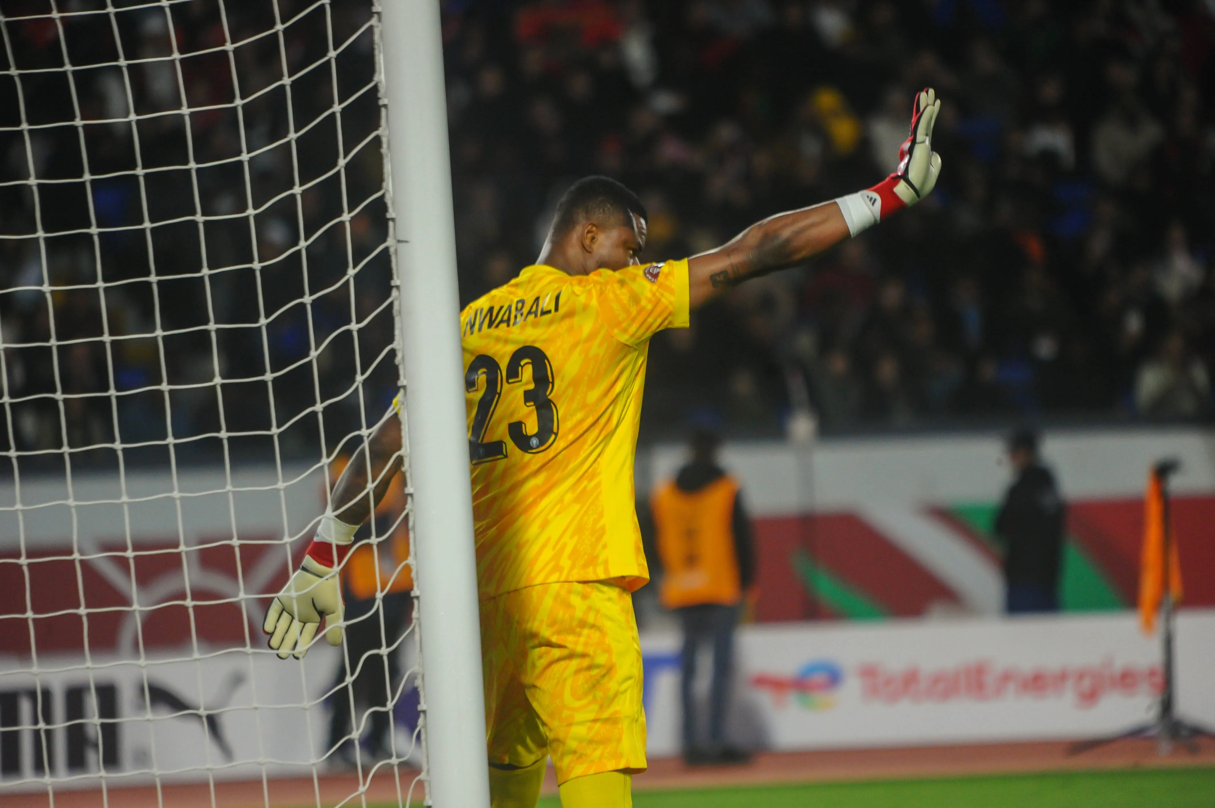 Super Eagles goalkeeper Stanley Nwabali