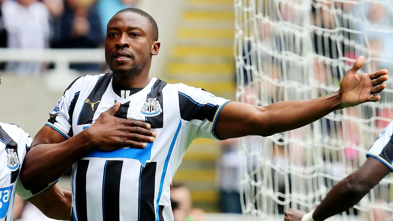 shola ameobi