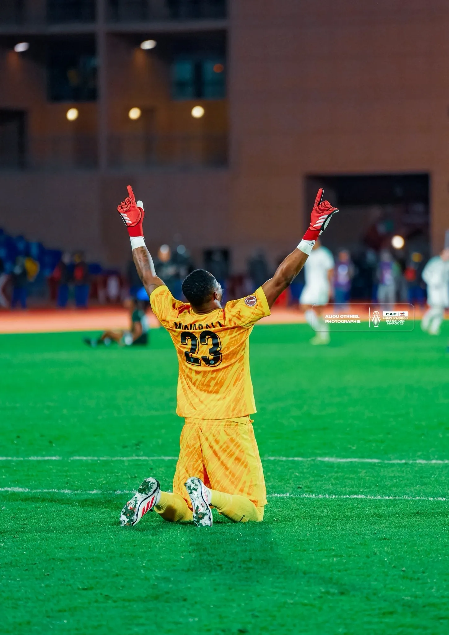 Super Eagles goalkeeper Stanley Nwabali