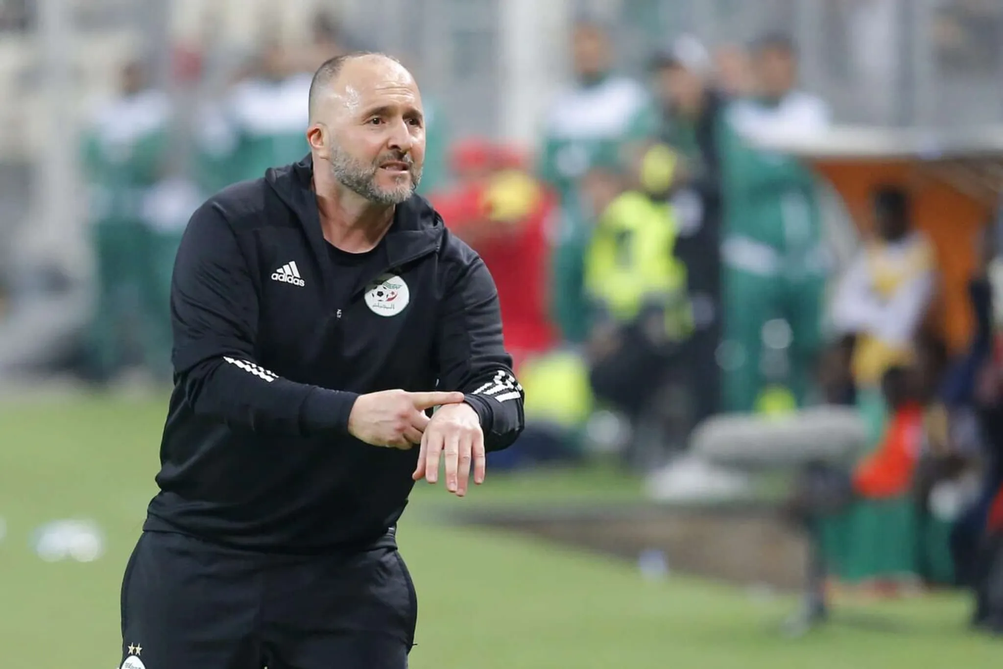 AFCON&nbsp;2023: Belmadi insists on Algeria playing in the heat