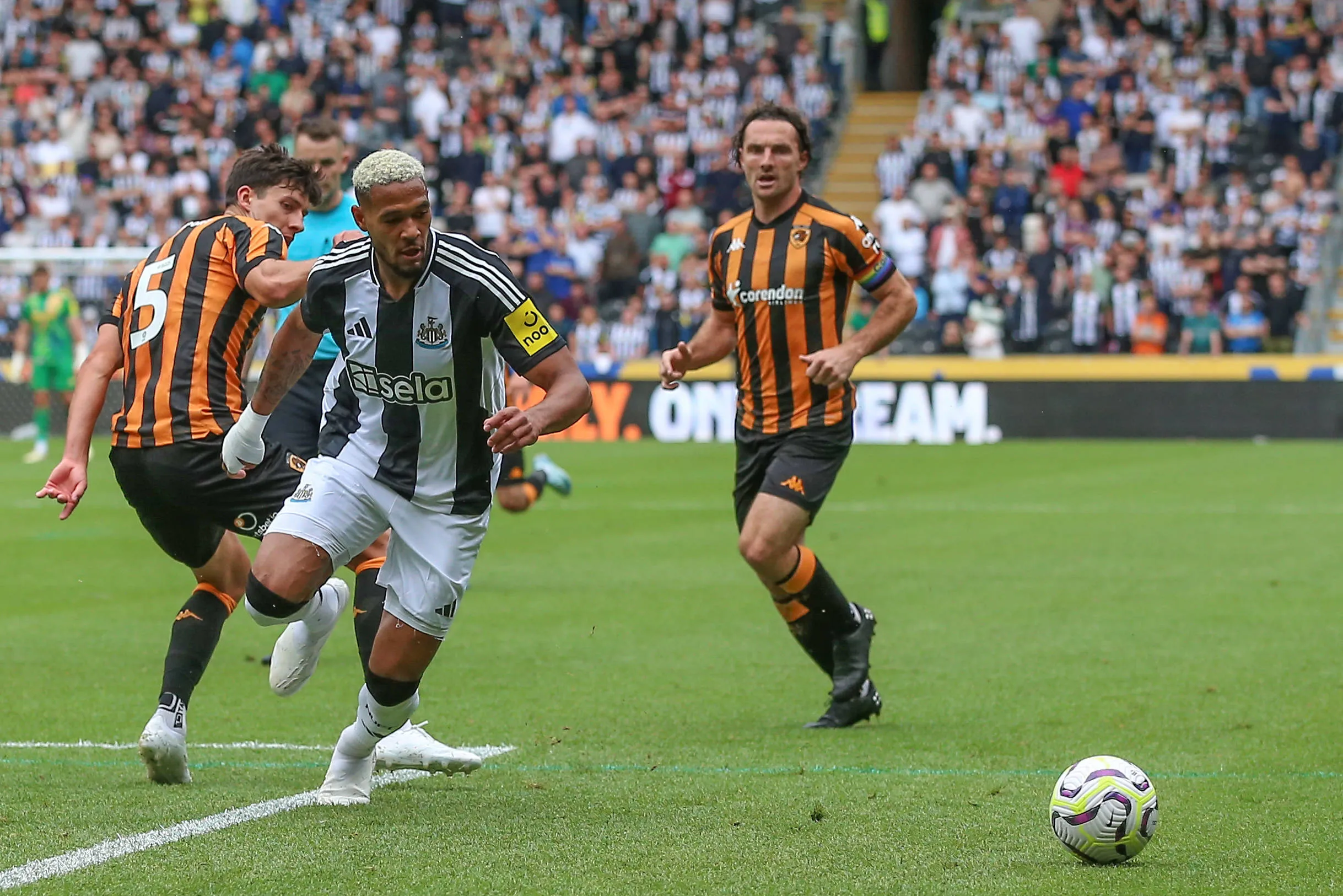 Newcastle United vs Hull City