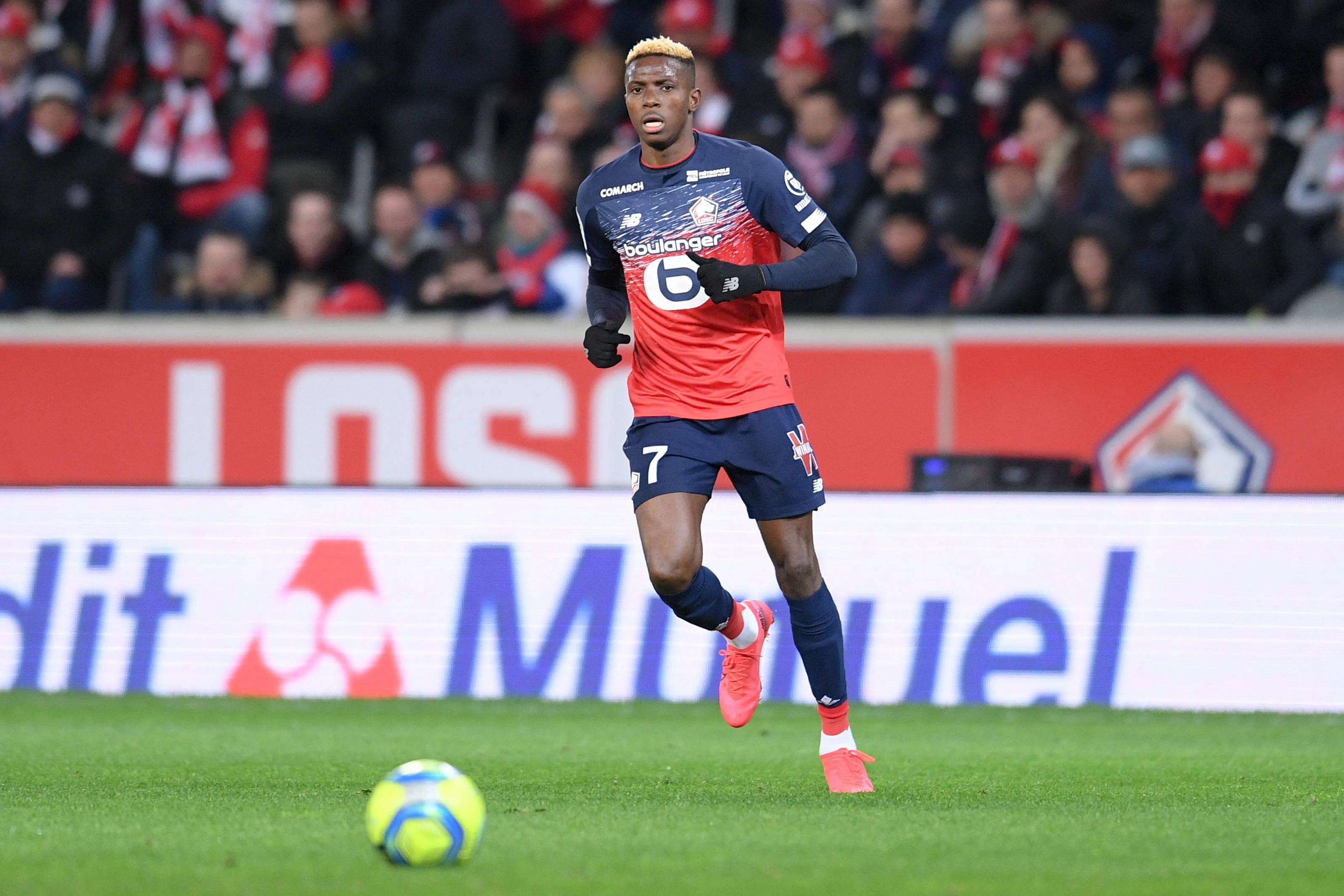Victor Osimhen at Lille.
