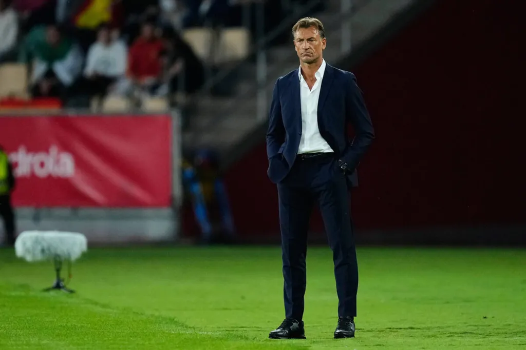 Herv&eacute; Renard gives reasons why he rejected Super Eagles role