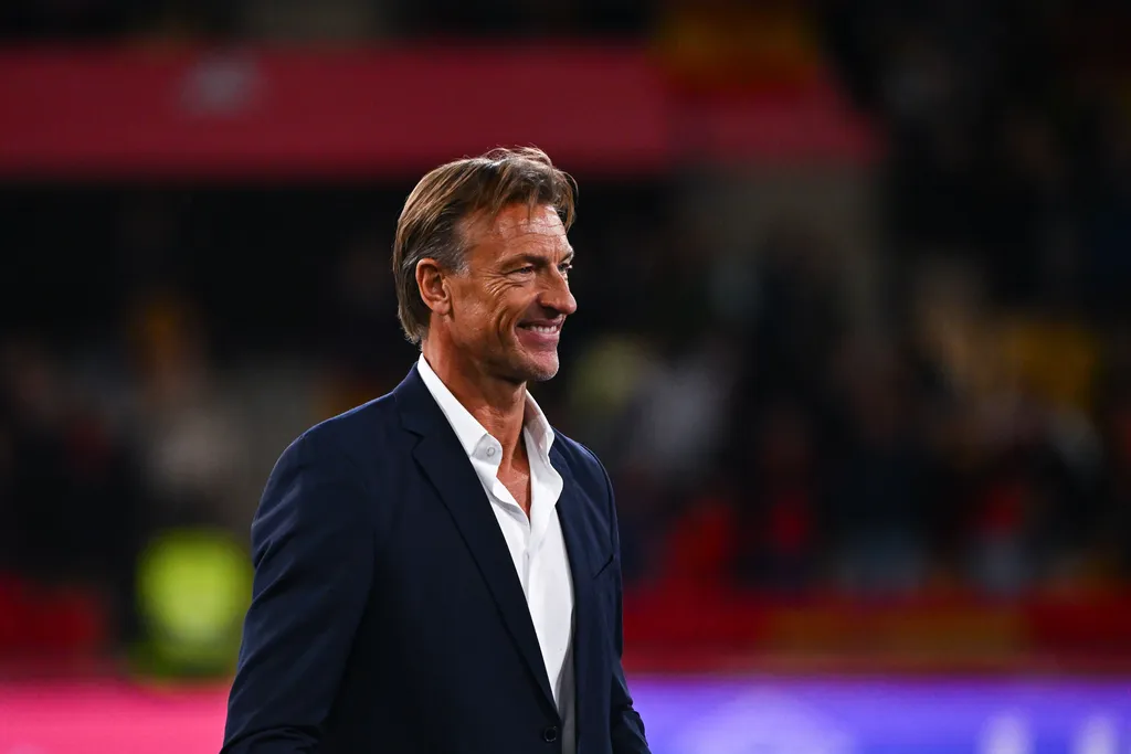 New Super Eagles coach: Nigeria in 3-horse race to appoint Herve Renard