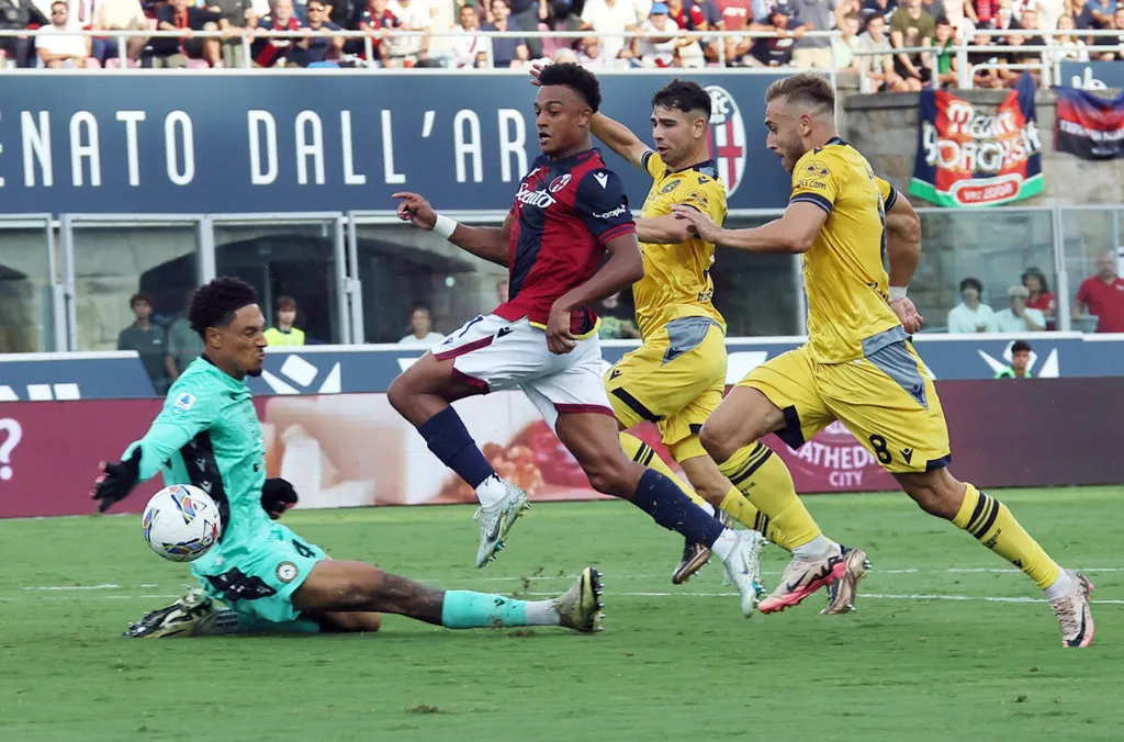 Okoye's idol responds to open admiration: 'He has great potential...'