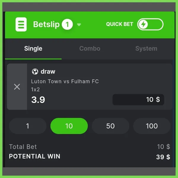 BC.Game app confirm bet