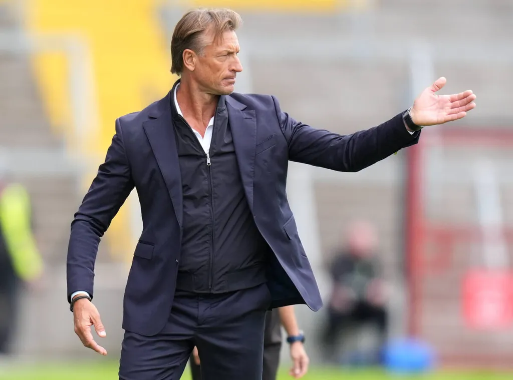 Herve Renard says he almost accepted to coach the Super Eagles