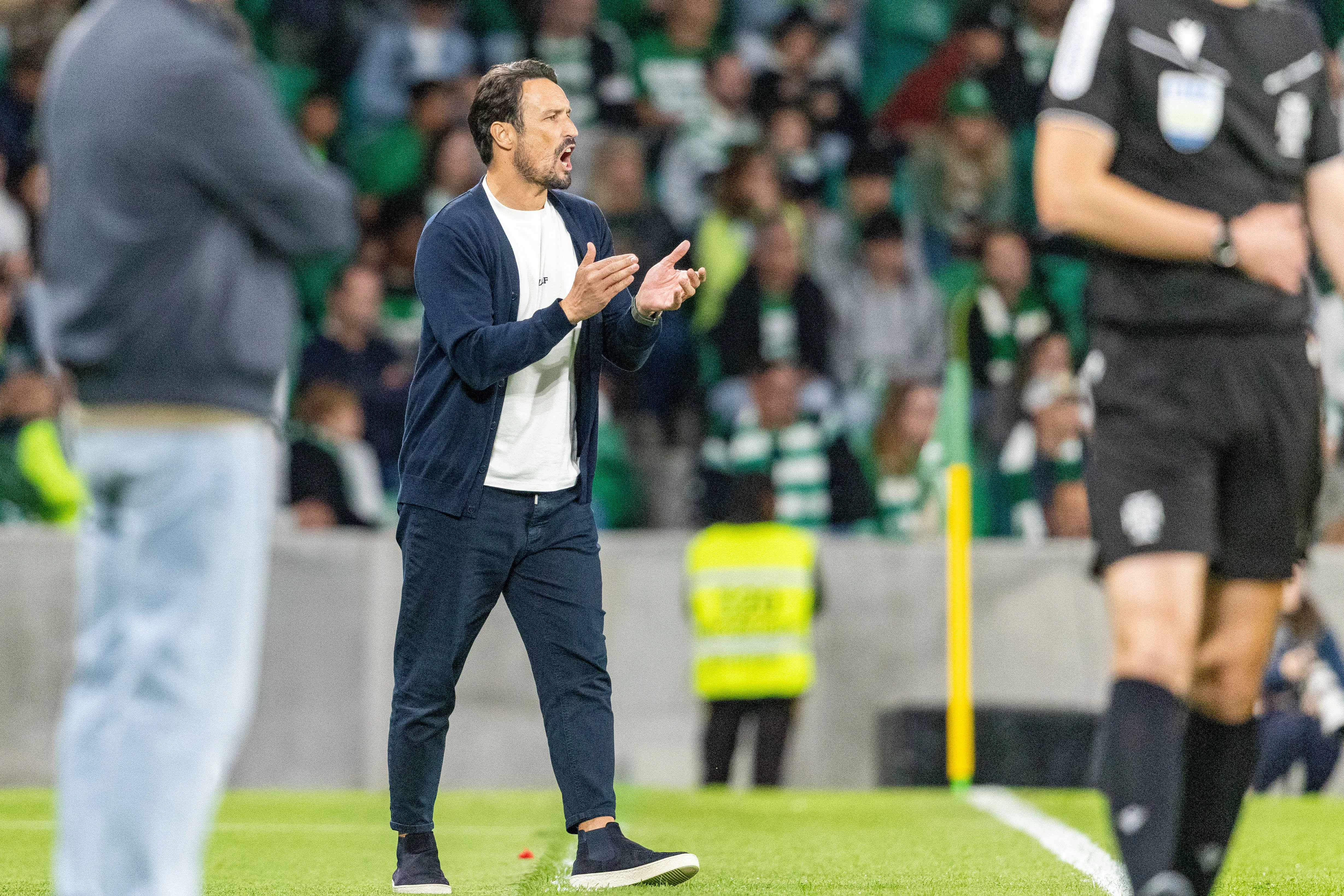 Cesar Peixoto seen during Liga Portugal game between teams of Sporting CP and Gil Vicente