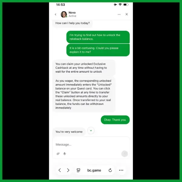 Conversation with BC Game Customer Support