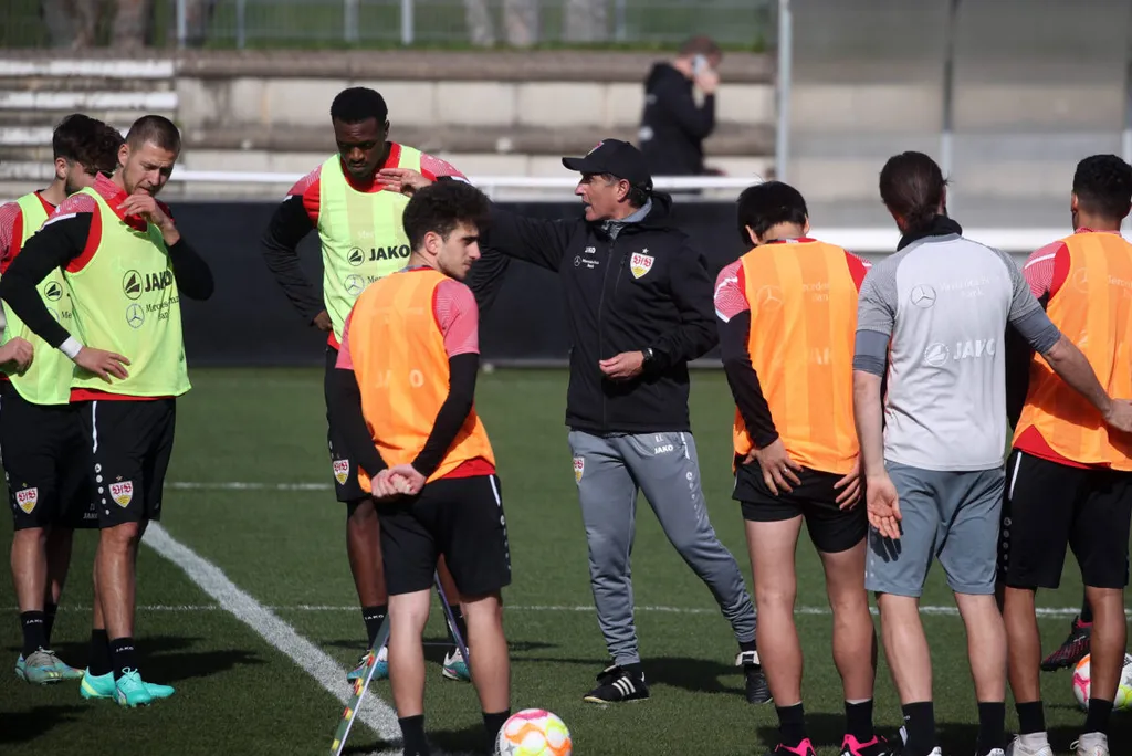 Bruno Labbadia: Former Bundesliga striker praises old rival's fit for Super Eagles