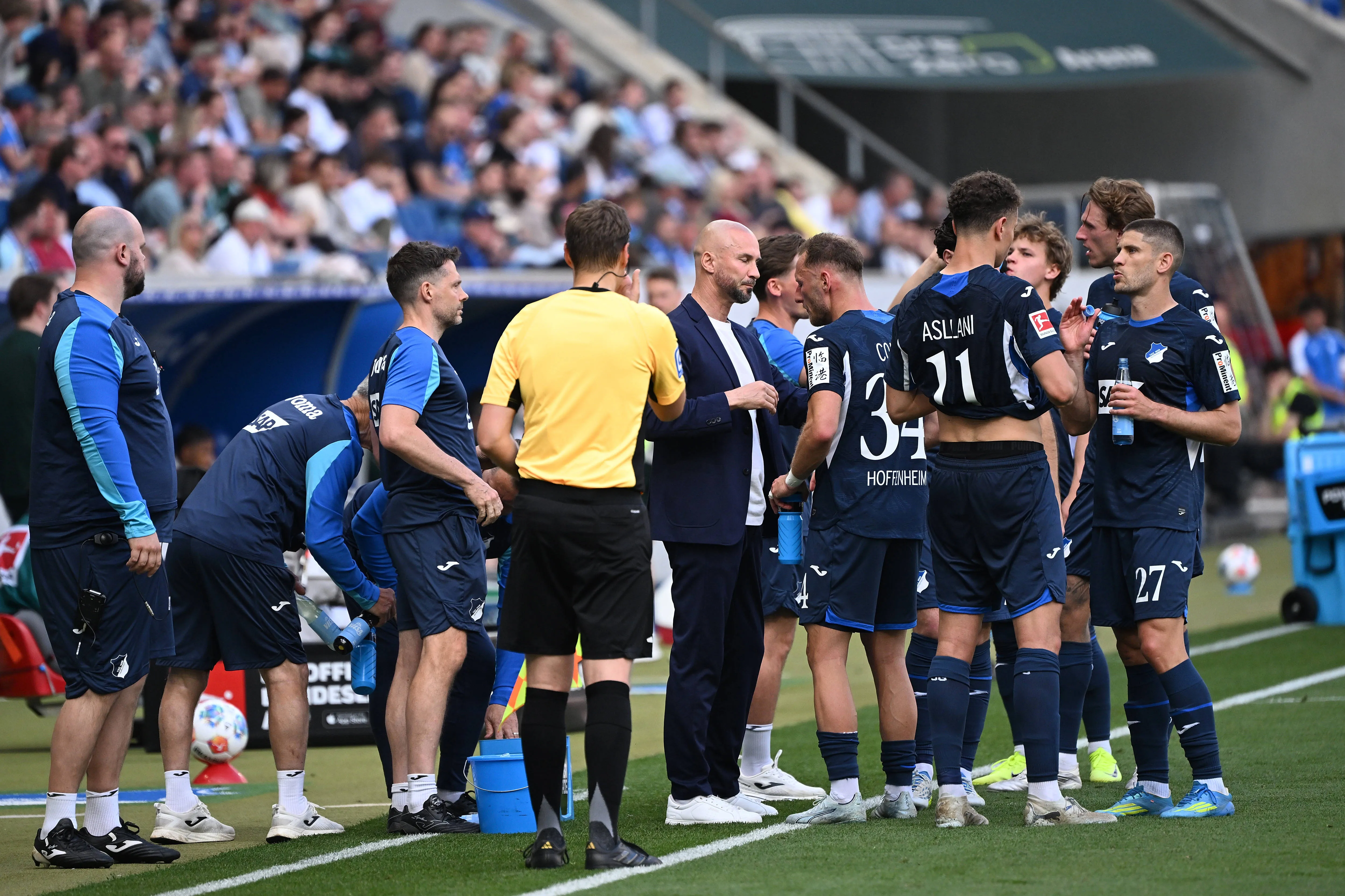 Hoffenheim's Christian Ilzer, Vladimir Coufal. 
