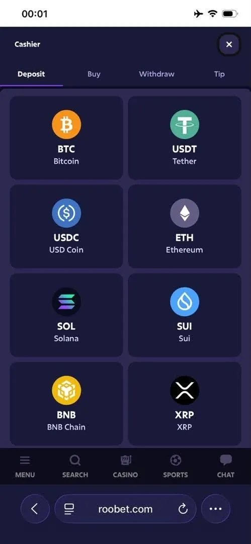 Roobet Bitcoin betting site deposit page showing BTC, USDT, and other supported coins.