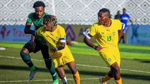 Nigeria vs Zimbabwe: ‘Brave Warriors will not be cowards vs Super Eagles’ – UK-born Rinomhota