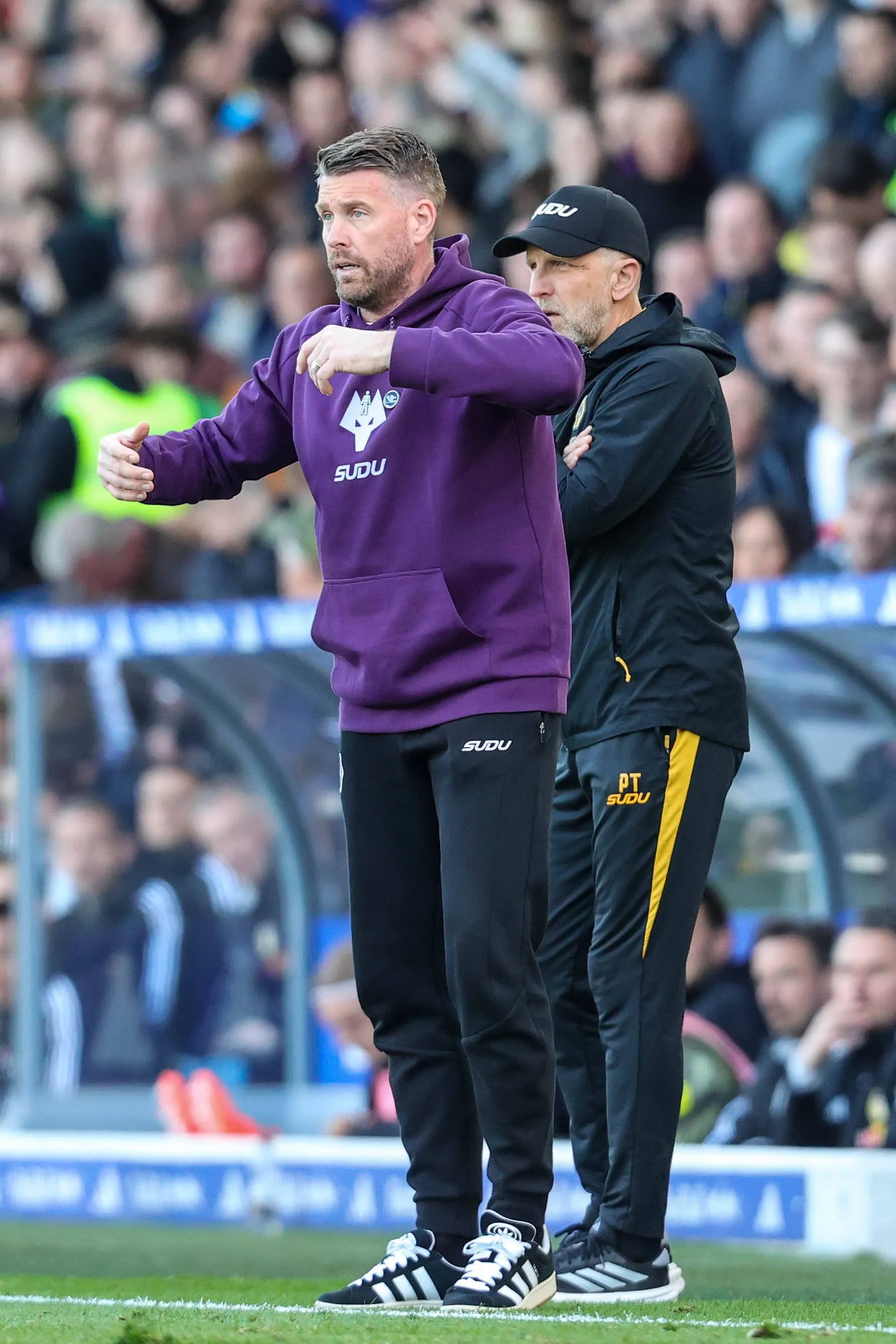 Rob Edwards manager of Wolverhampton Wanderers