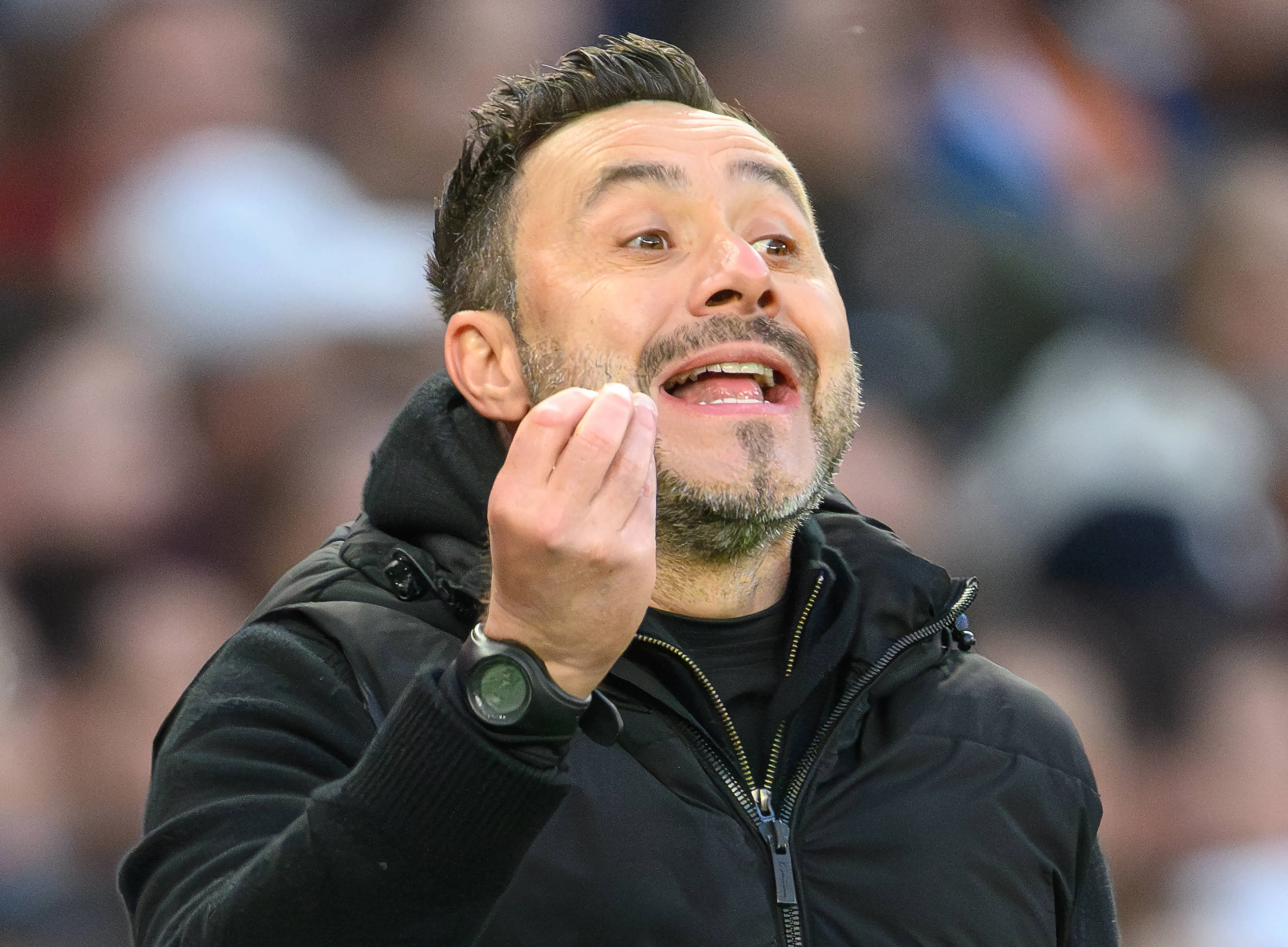 Tottenham Manager Roberto De Zerbi