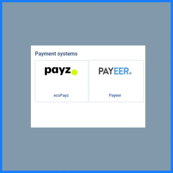 1xbet payment systems