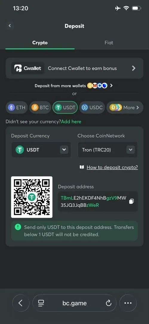 BC.GAME crypto betting site deposit page showing supported cryptocurrency deposit options.
