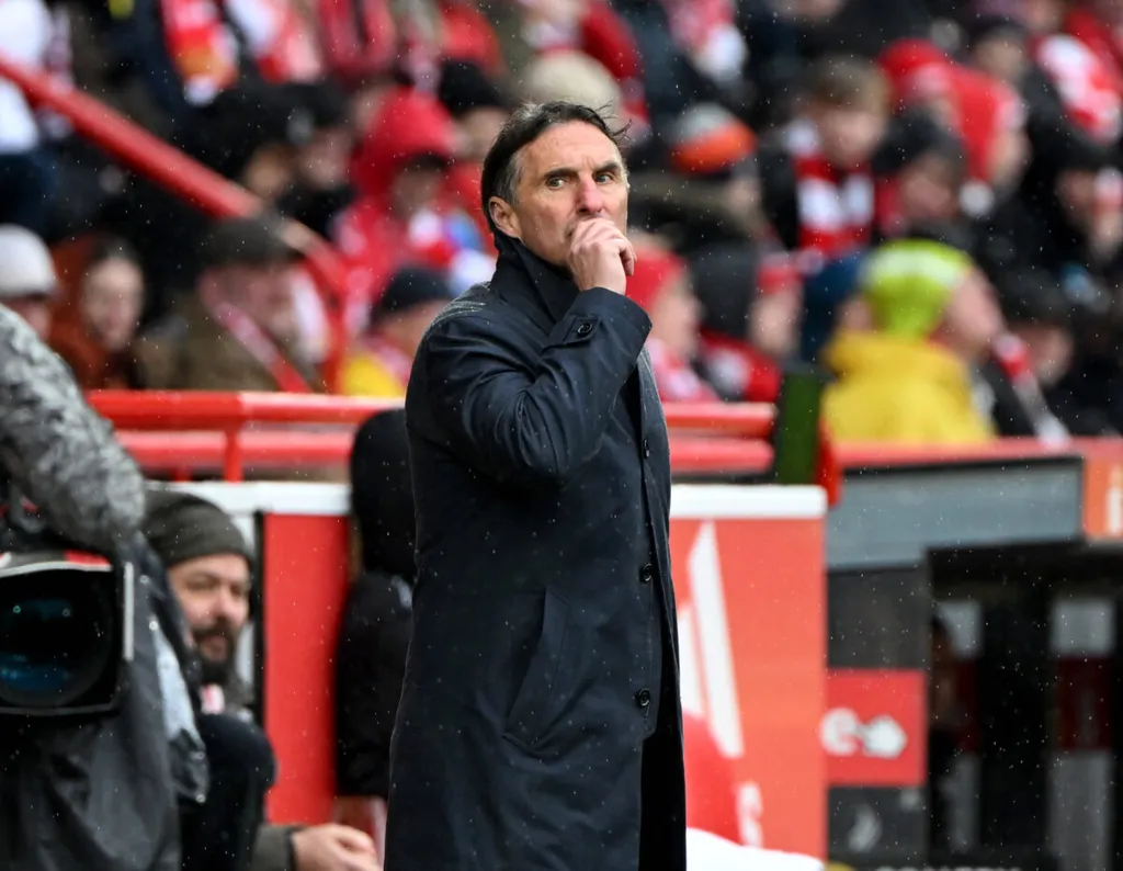 Bruno Labbadia: Gernot Rohr excited to face new Super Eagles coach