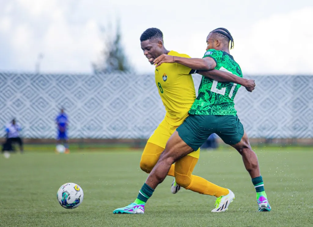 Nigeria vs Zimbabwe: 'Brave Warriors will not be cowards vs Super Eagles' – UK-born Rinomhota