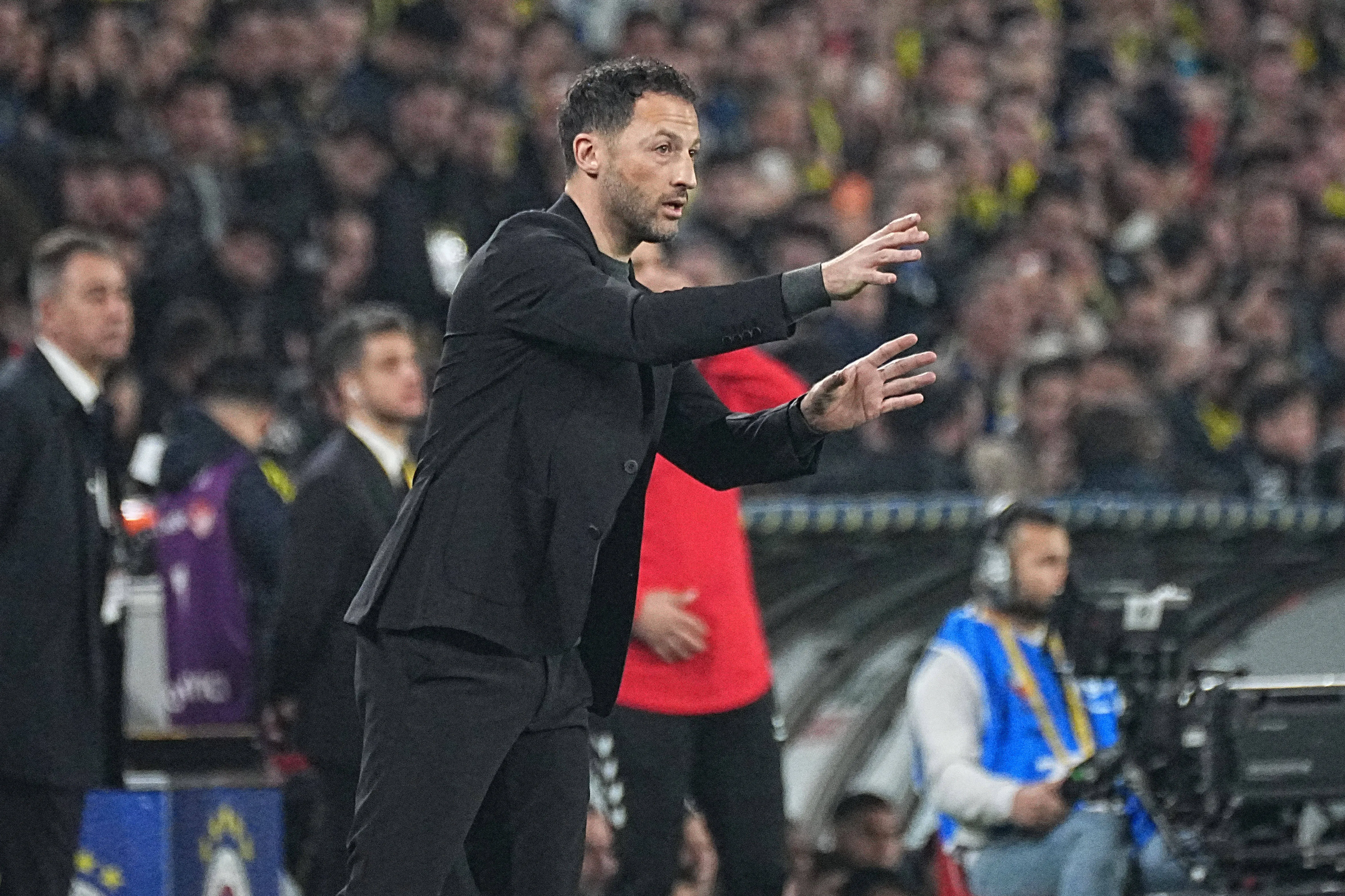 Coach Domenico Tedesco of Fenerbahce