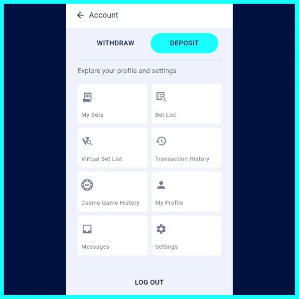 BetKing registration