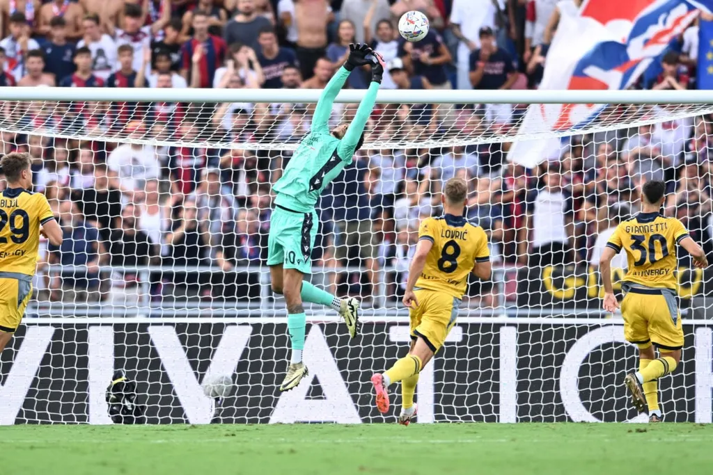 Super Eagles: Do the numbers support Okoye as replacement for stricken Nwabali?