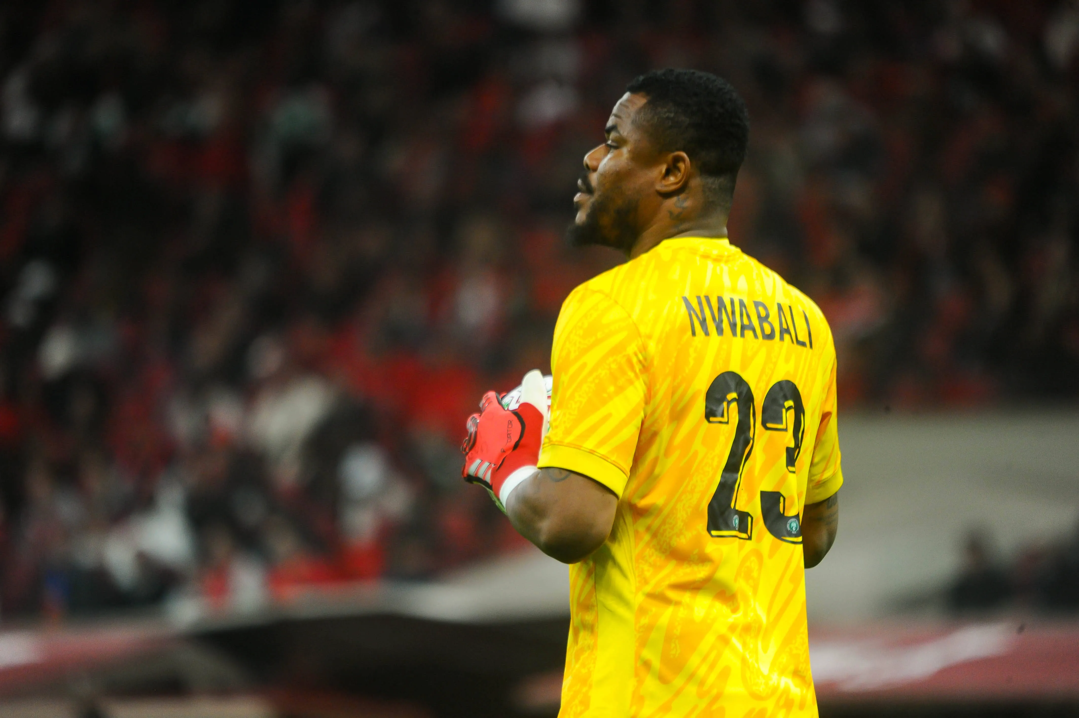 Super Eagles goalkeeper Stanley Nwabali 