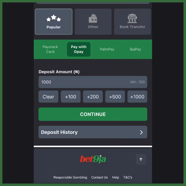 Bet9ja deposit page showing Paystack, Opay, PalmPay, and 9jaPay payment options, along with a &ldquo;CONTINUE&rdquo; button and a Deposit History link.